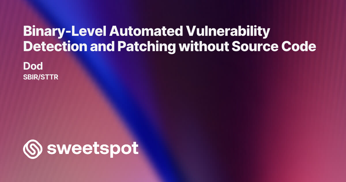 Binary-Level Automated Vulnerability Detection and Patching without ...